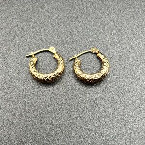 14kt Elegant Gold Hoop Earrings